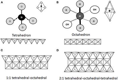 Comprehensive Review on the Interactions of Clay Minerals With Animal Physiology and Production